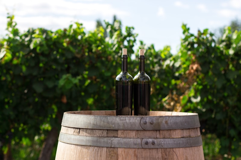 Wine being poured on a vineyard tour