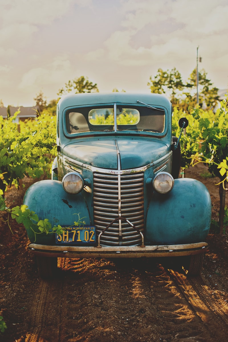 Bruma winery